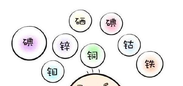 微量元素分析儀作為人體必需的微量元素必需滿足以下條件 微量元素分析儀作為人體必需的微量元素必需滿足以下條件