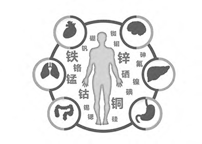 微量元素分析儀教您玩轉微量元素,秒變男神女神,微不足道不存在的. 微量元素分析儀教您玩轉微量元素,秒變男神女神,微不足道不存在的.