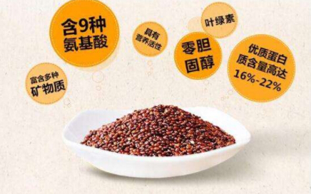 鈣鐵鋅硒檢測儀分享藜麥做輔食鈣鐵鋅硒全都有了 鈣鐵鋅硒檢測儀分享藜麥做輔食鈣鐵鋅硒全都有了