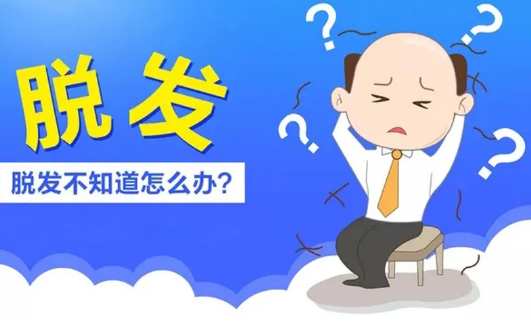 微量元素測定儀廠家 脫發不知怎麽辦GK微量元素測定儀廠家建議可能身體缺乏這種微量元素